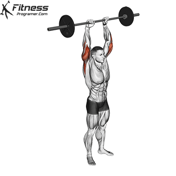 Standing Barbell Triceps Extension