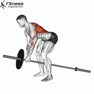 How To Do T-Bar Row | Muscles Worked And Benefits