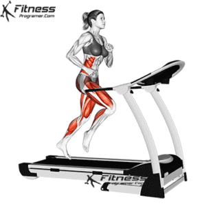 How To Use A Treadmill - What Muscles Does Treadmill Work