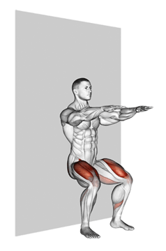 Dumbbell Wall Squat  A Strength Exercise