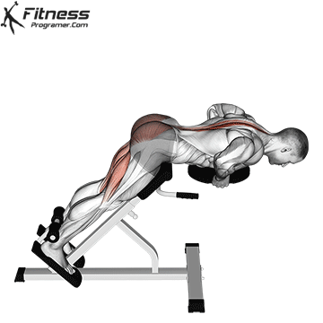 Weighted Back Extension