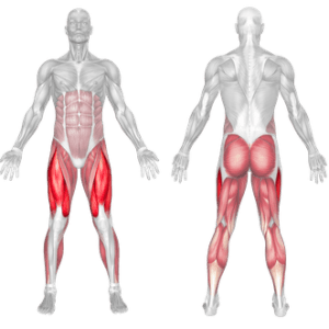 what muscles does the treadmill work