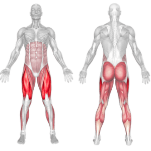 Incline Treadmill Muscles Worked And Benefits