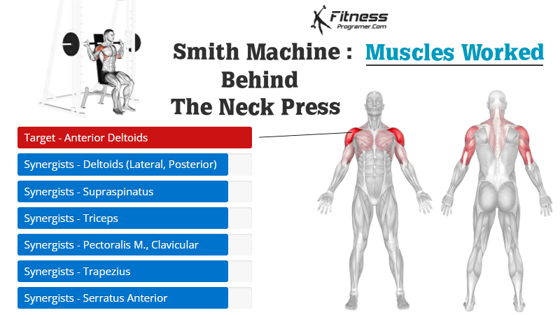 Smith Machine Behind The Neck Press muscles worked