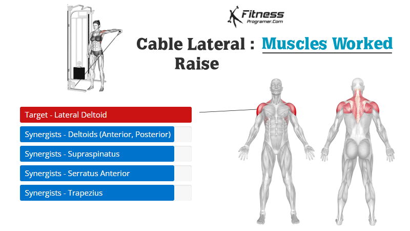 Cable Lateral Raise 13 cable lateral raise muscles worked