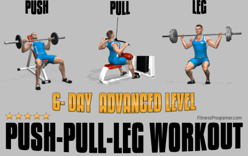 6-Day Push-Pull-Leg Workout for Advanced Lifters
