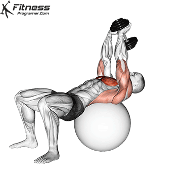 Dumbbell Pullover On Stability Ball
