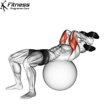 Exercise Ball Triceps Extension