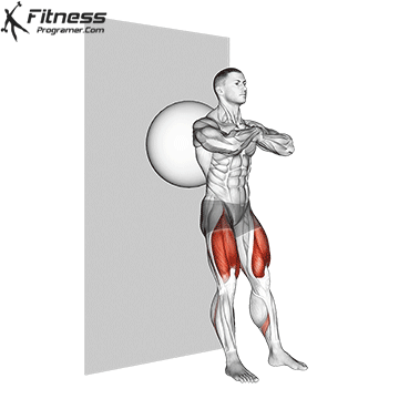 Exercise Ball Wall Squat