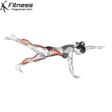 Front Plank With Arm And Leg Lift