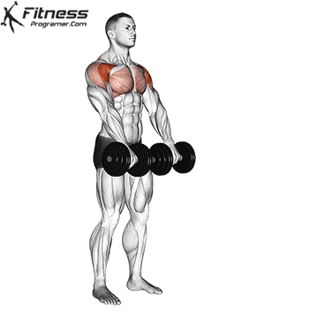 Two Arm Dumbbell Front Raise