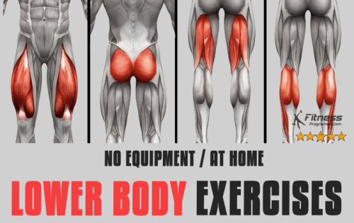 No Equipment Lower Body Strength Exercises
