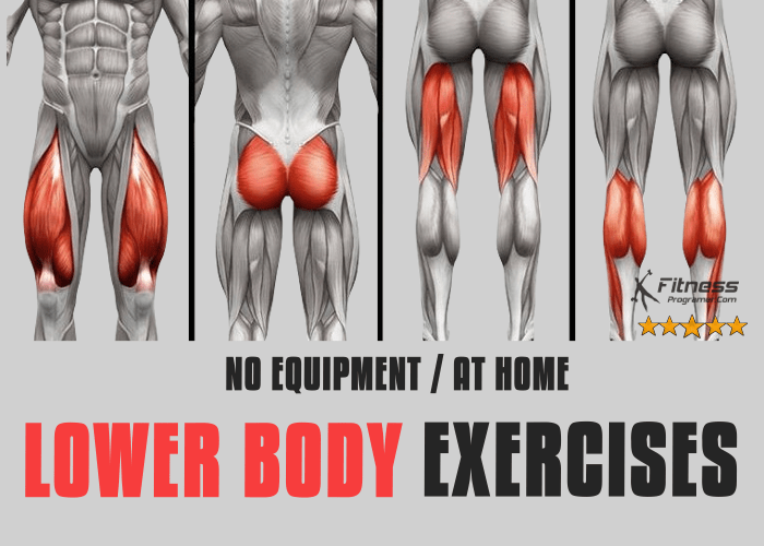 No Equipment Lower Body Strength Exercises