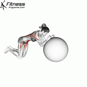 How To Do Swiss Ball Rollout | Muscles Worked And Benefits