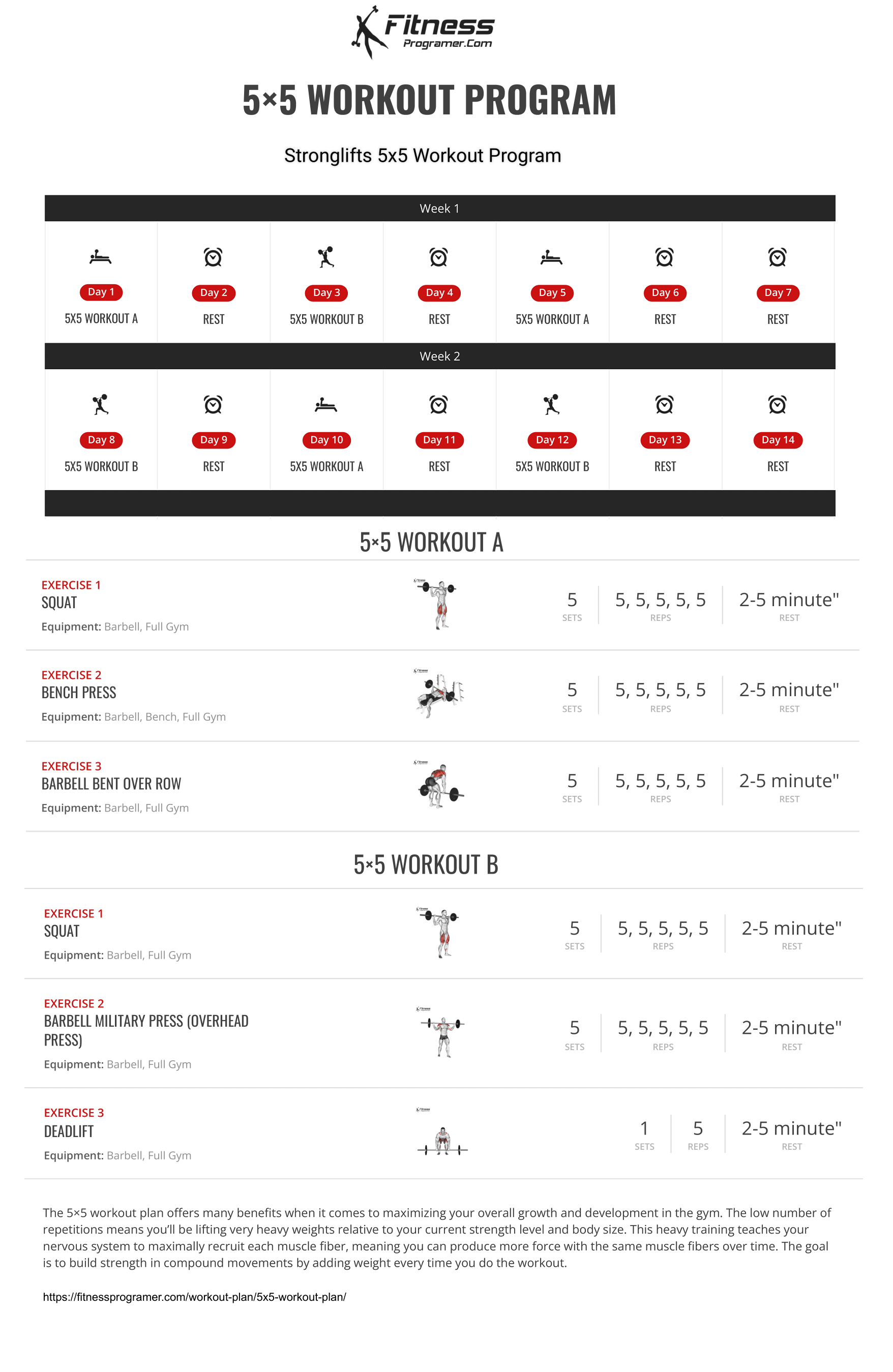 What Does 5x5 Workout Mean