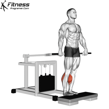 Standing Calf Raise Exercise Spotlight Smith Machine Standing Calf
