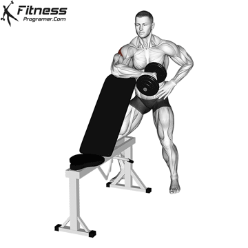 Bench Supported Dumbbell External Rotation