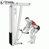 Cable Bent Over Row » Workout Planner