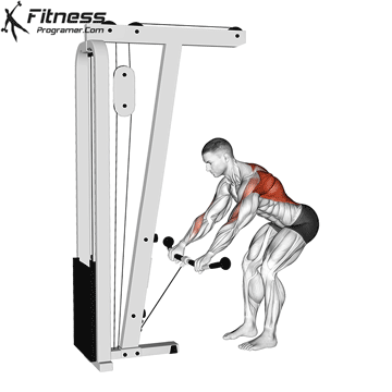 Cable Bent Over Row