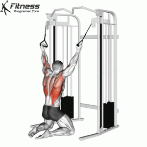 Neutral Grip Lat Pulldown | How to Do the Lat Pulldown Properly ...