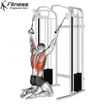 Double Cable Neutral Grip Lat Pulldown On Floor