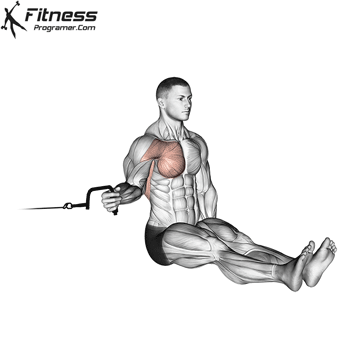 Cable Seated Shoulder Internal Rotation