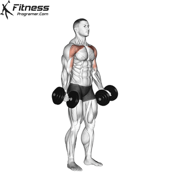 Chest with dumbbells standing sale