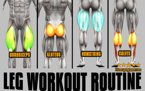 Intermediate Leg Workout for Building Muscle