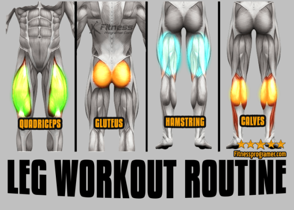 Intermediate Leg Workout Routine For Building Muscle