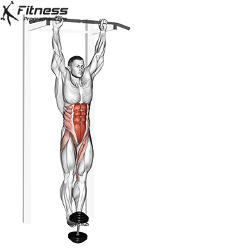 Weighted Hanging Knee Raises