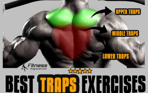 Best Traps Exercises for Strength and Size