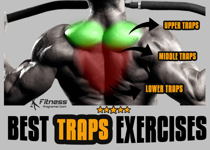 traps exercises