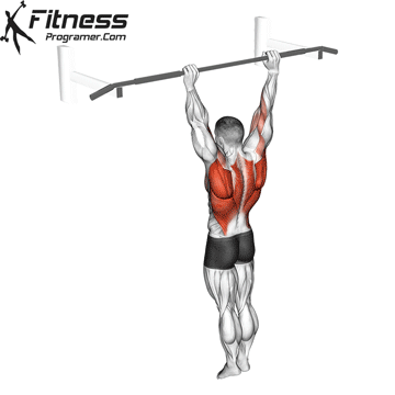 Pull-Ups : Target