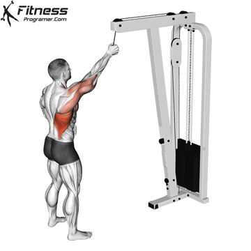 Cable One-Arm Pulldown