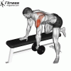 Dumbbell Rear Delt Row » Workout Planner