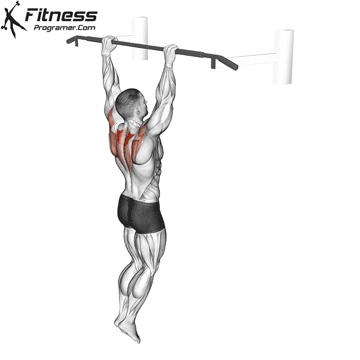 Scapula Pull-up