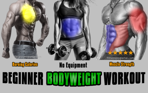 Beginner Bodyweight Workout