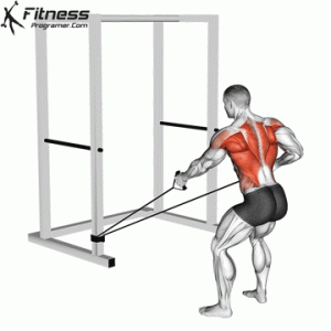 Band Alternating Low Row With Twist » Workout Planner