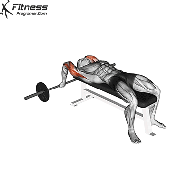 Barbell Lying Close grip Triceps Extension