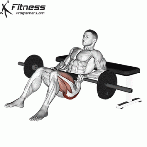 Barbell Single Leg Hip Thrust » Fitness Programer