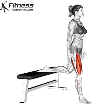 Day 1 Lower Body Workout Routine Created By Naema Alfalahi Day 1 Lower Body Workout Routine Created By Naema Alfalahi