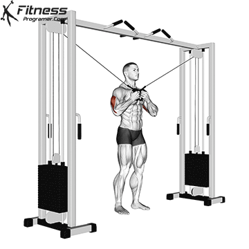 Cable Crossover Triceps Extension