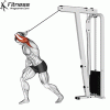 One Arm High Pulley Overhead Tricep Extension » Workout Planner