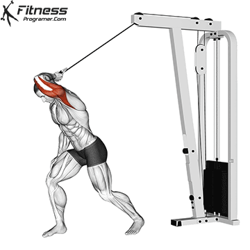 One Arm High Pulley Overhead Tricep Extension
