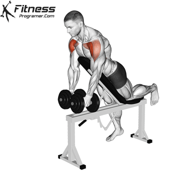 Chest Supported Dumbbell Front Raises