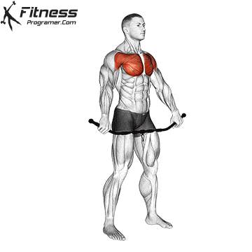 Chest and Front of Shoulder Stretch
