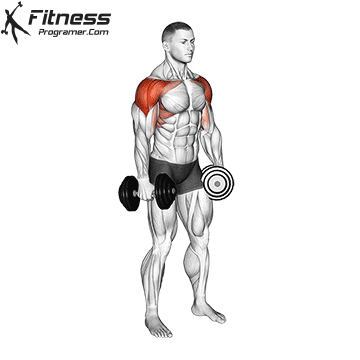 Dumbbell 4 Way Lateral Raise