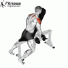 Dumbbell Chest Supported Lateral Raises » Fitness Programer
