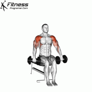 Dumbbell Seated Cuban Press » Workout Planner