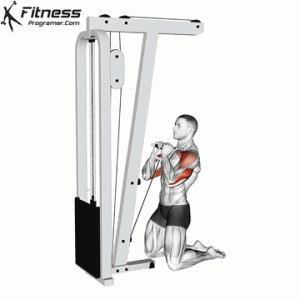 Kneeling Cable Shoulder Press » Workout Planner